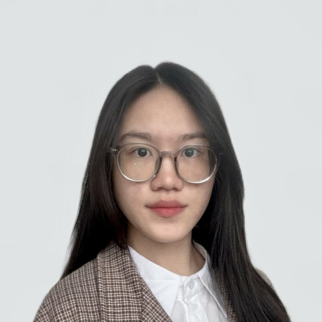 Hai Anh Nguyen